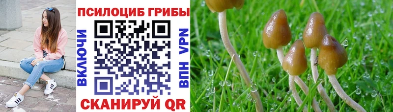 Псилоцибиновые грибы GOLDEN TEACHER  Октябрьский 